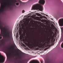 Karın Yağından Elde Edilen Kök Hücrelerle Eklem Tedavisi Karın Yağından Elde Edilen Kök Hücrelerle Eklem Tedavisi