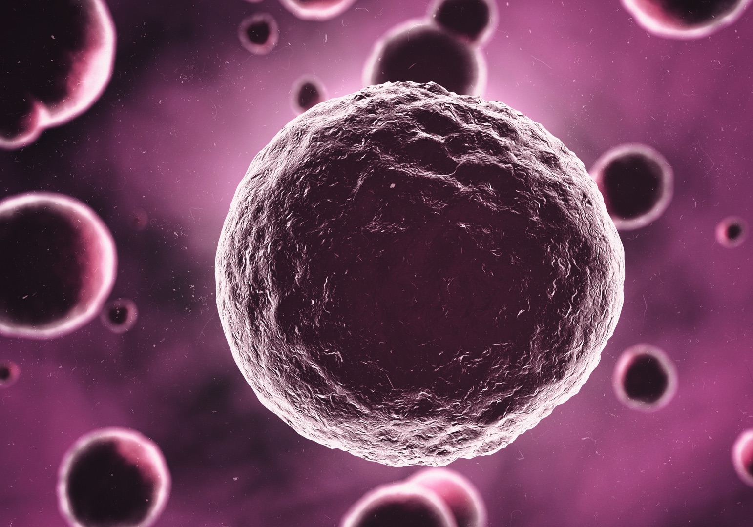 Karın Yağından Elde Edilen Kök Hücrelerle Eklem Tedavisi